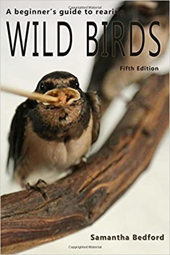 This image has an empty alt attribute; its file name is wild-birds.jpg